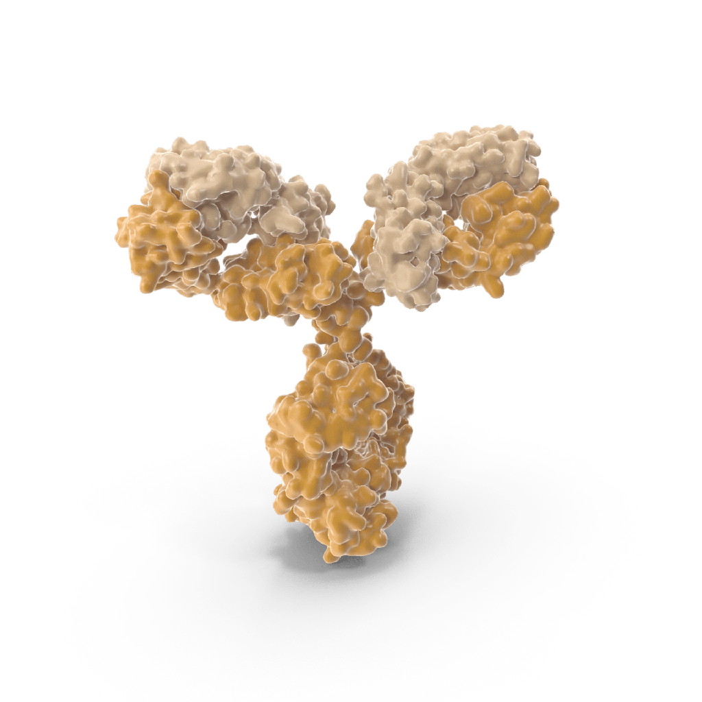 SARSsize:CoVsize:2  COVIDsize:19  NSP6 Antibody, 0.1 mg