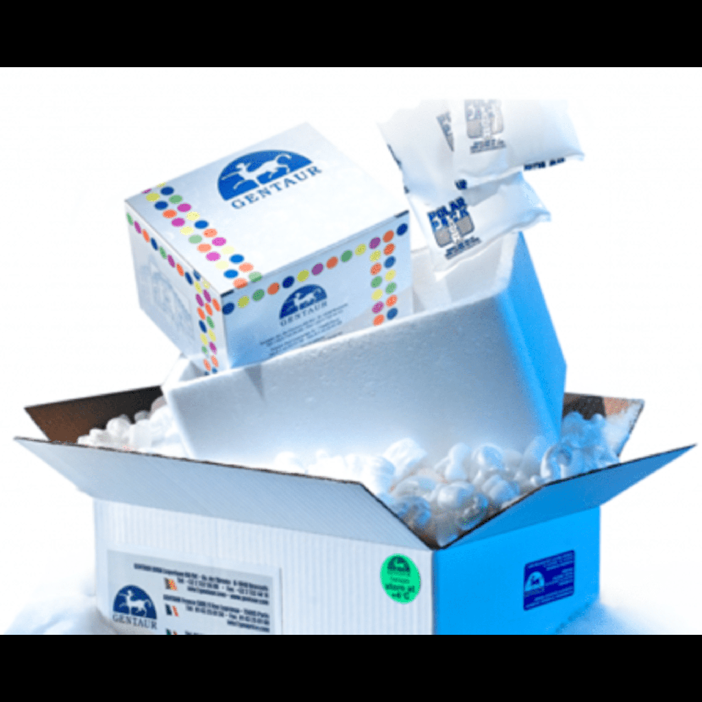 Epigenase 5mCsize:Hydroxylase TET Activity/Inhibition Assay Kit  Colorimetric  size: 96 assays