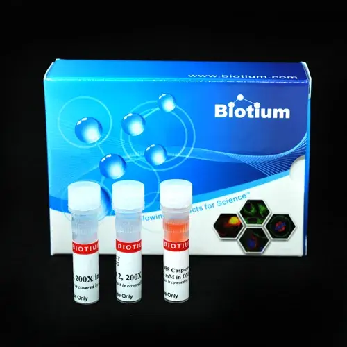 NucView® 488 & RedDot 2 Apoptosis & Necrosis Kitsize:100 assays